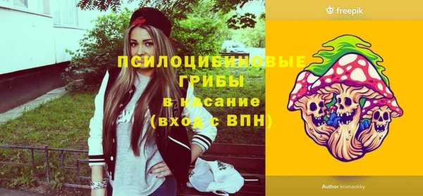 молекула духа Алексеевка