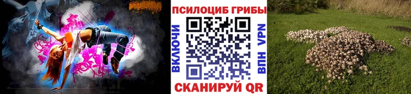 купить   Комсомольск  Галлюциногенные грибы мицелий 
